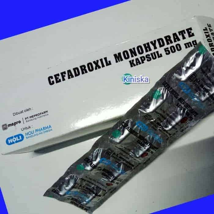 Cefadroxil Monohydrate 500 mg (Generik - Holi Pharma)