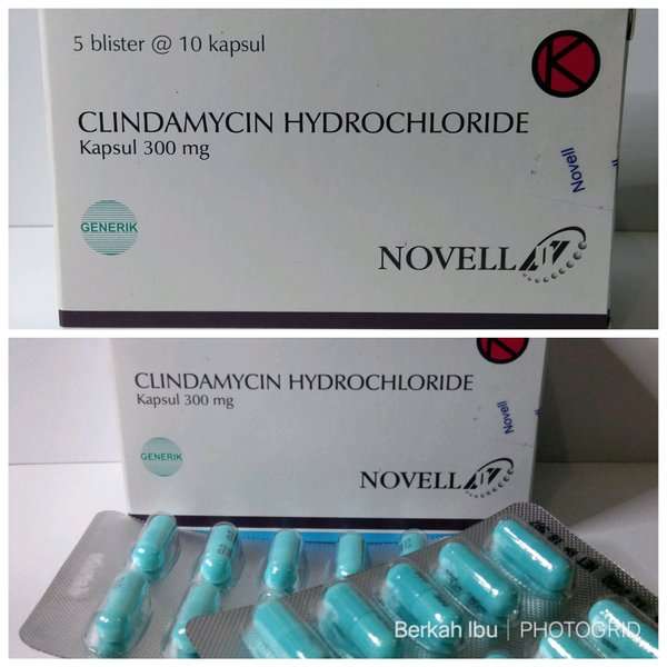 Clindamycin Hydrochloride 300 mg 10 Tablet (Generik - Novell)